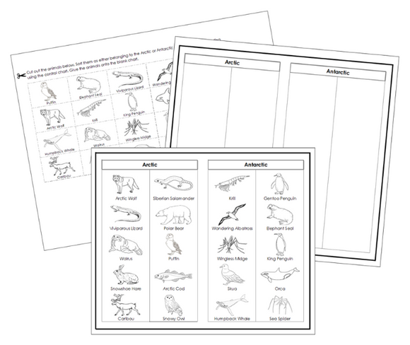 Arctic and Antarctic Animal Sorting Cut & Paste (Blackline Masters) - Montessori Print Shop Digital Download