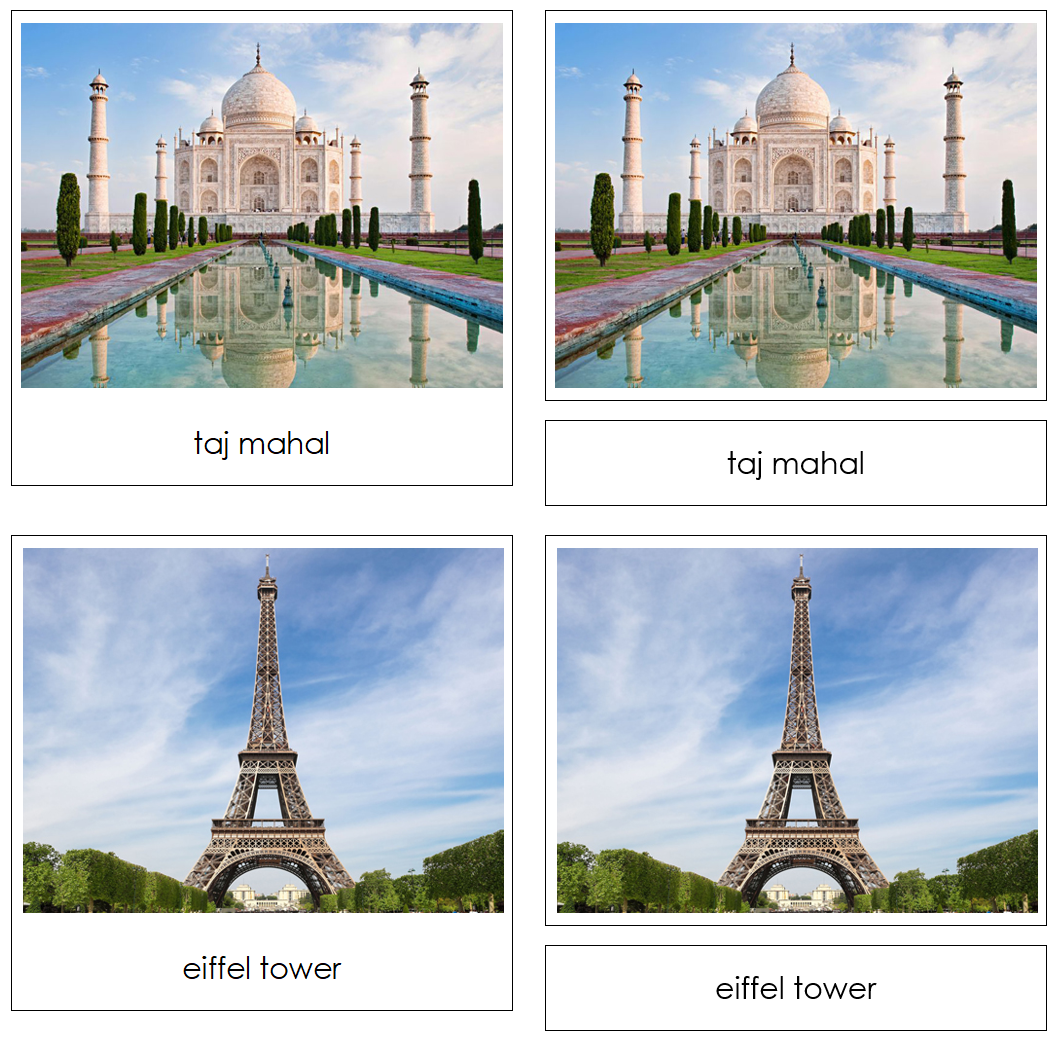 Around The World Safari TOOB Cards - Montessori Print Shop Digital Download