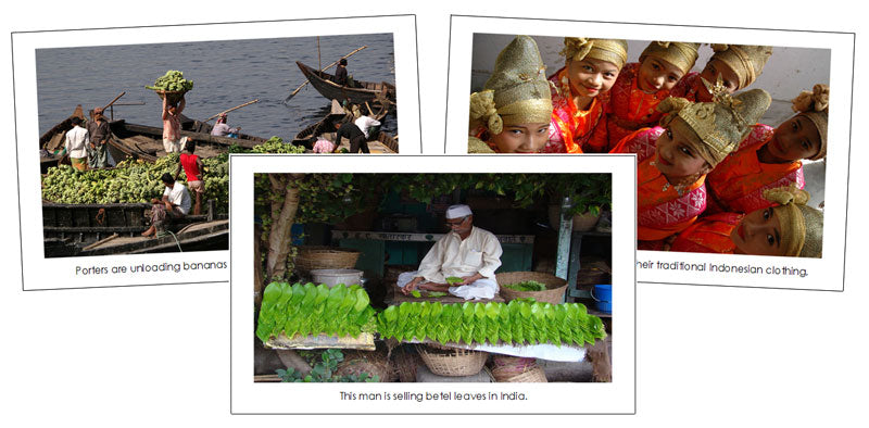 Asia Continent Cards - Montessori Print Shop Digital Download geography material