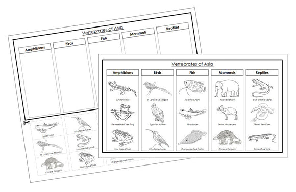 Asia Vertebrate Sorting Blackline Masters - Montessori Print Shop animal activity