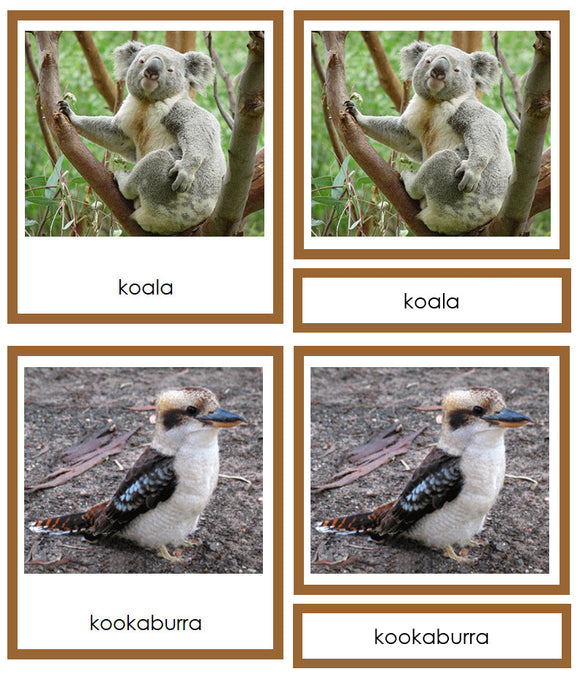 Animals of Australia/Oceania 3-Part Cards - Montessori Print Shop Digital Download