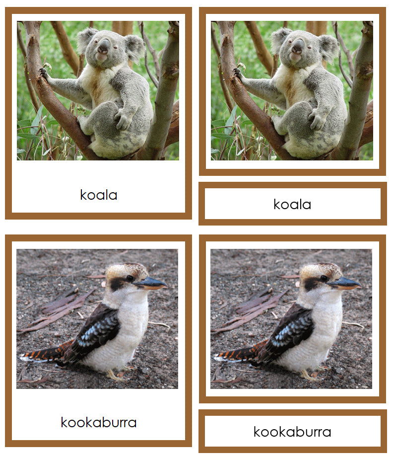 Animals of Australia/Oceania 3-Part Cards - Montessori Print Shop Digital Download