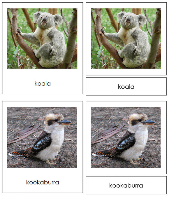 Animals of Australia/Oceania 3-Part Cards - Montessori Print Shop Digital Download