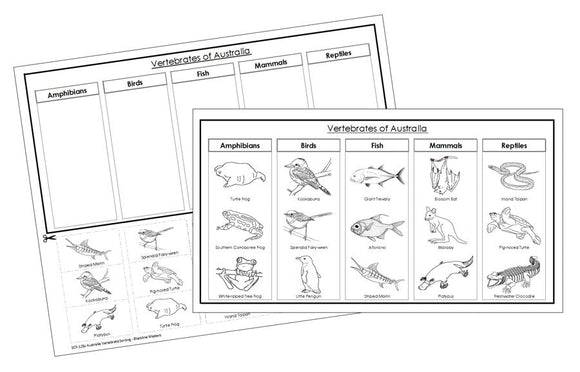 Australia Vertebrate Sorting Blackline Masters - Montessori Print Shop Digital Download animal activity