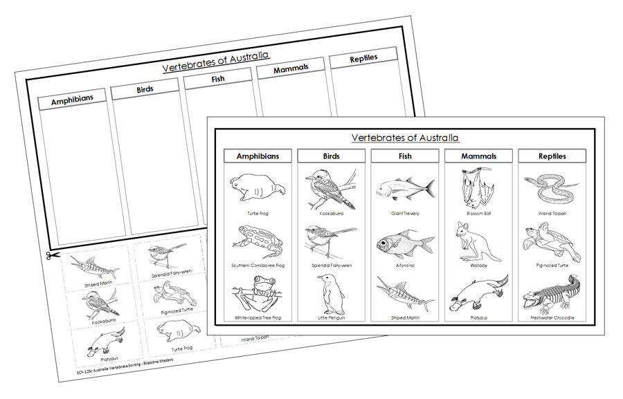 Australia Vertebrate Sorting Blackline Masters - Montessori Print Shop Digital Download animal activity