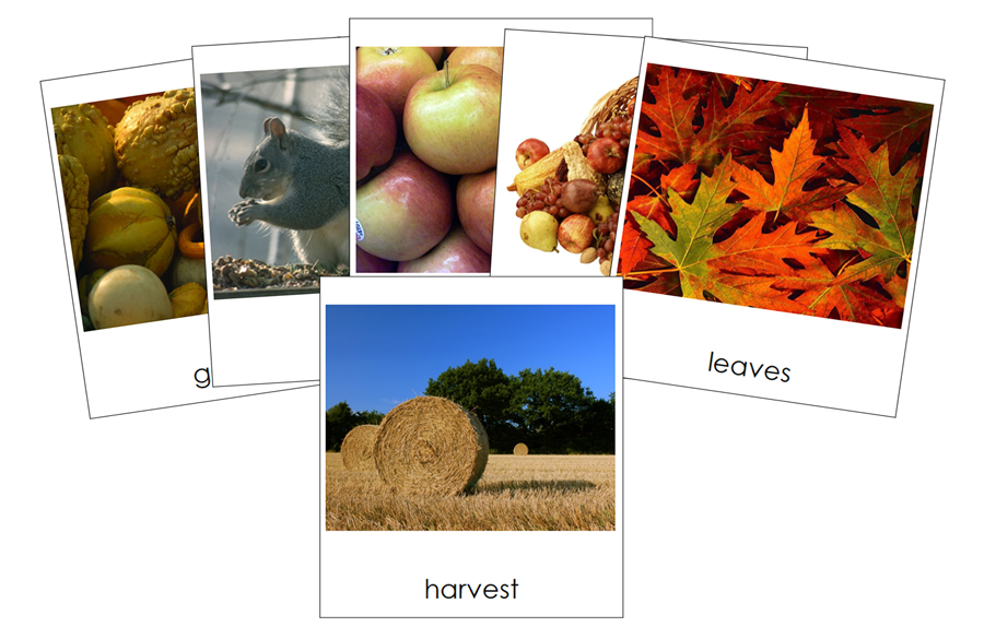 Autumn Season 3-Part Cards - Montessori Print Shop Digital Download