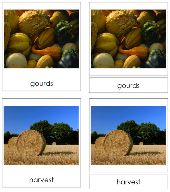 Autumn Season 3-Part Cards - Montessori Print Shop Digital Download