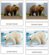 Bear Cards - Montessori Print Shop