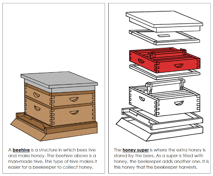Beehive Nomenclature Book (red) - Montessori Print Shop Digital Download