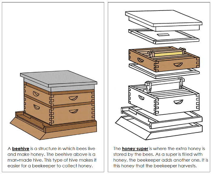 Beehive Nomenclature Book - Montessori Print Shop Digital Download