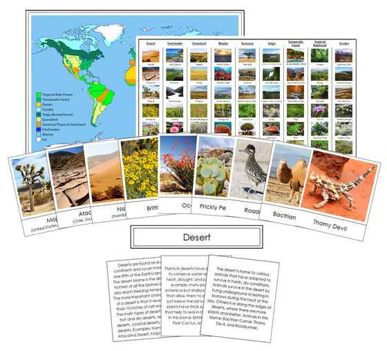 Nine Biomes of the World - Montessori Print Shop