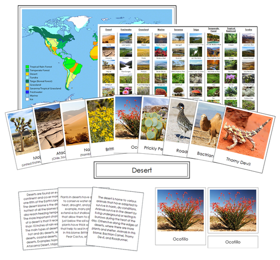 The Nine Biomes of the World Information, Cards, Chart, and Map - Montessori Print Shop Digital Download