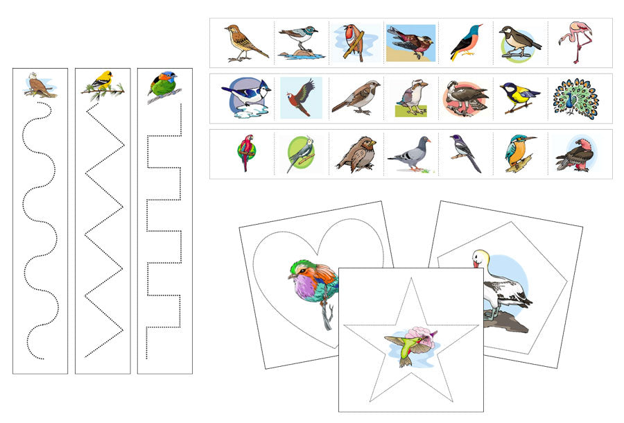 Birds Cutting Work - Preschool Activity by Montessori Print Shop