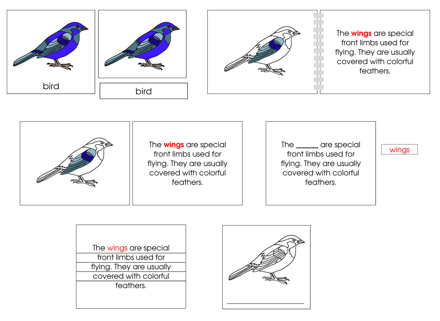 Bird Definition Set - Montessori Print Shop nomenclature