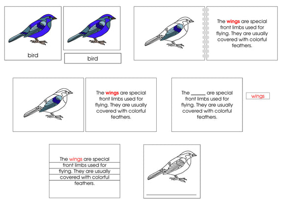 Bird Definition Set - Montessori Print Shop nomenclature