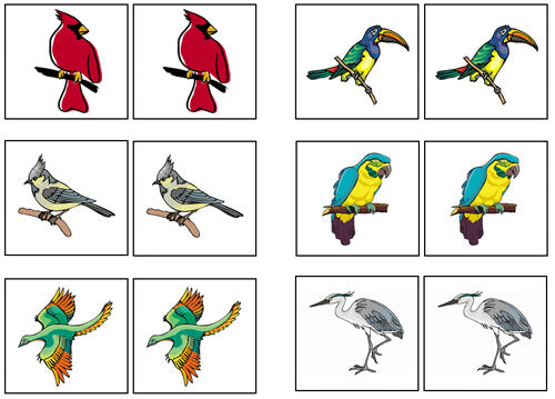 Bird Match-Up & Memory Game - Montessori Print Shop Digital Download