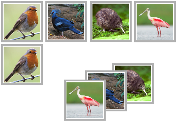 bird matching cards - Montessori Print Shop Digital Download