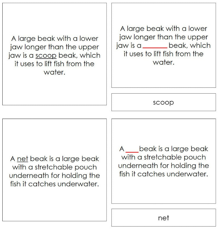 Animal Adaptation: Birds & Their Beaks Matching Cards - Montessori Print Shop Digital Download