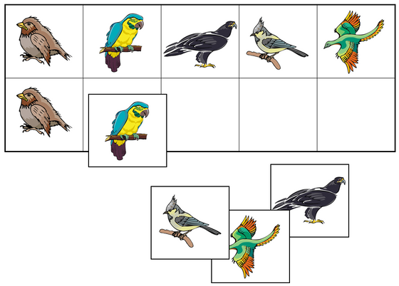 Bird Match-Up & Memory Game - Montessori Print Shop