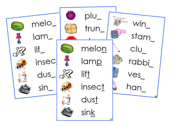 Montessori Blue Ending Sound Cards - Montessori language cards - Montessori Print Shop Digital Download