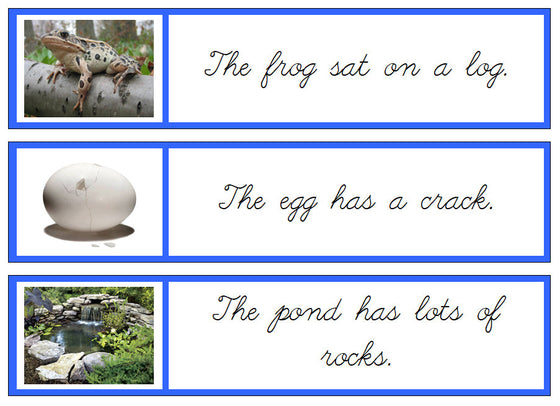 Blue Sentence Cards - Set 1 (photos, cursive) - Montessori Print Shop Digital Download