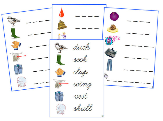 Montessori Blue Spelling Cards - CURSIVE - Montessori Print Shop phonics lesson