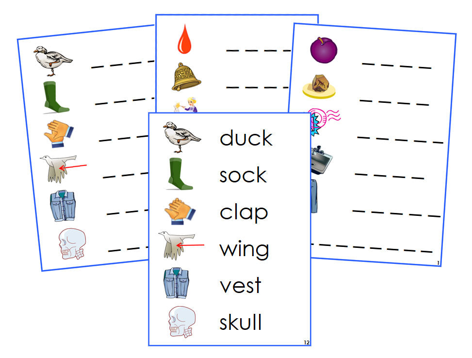 Montessori Blue Spelling Cards - Montessori language cards - Montessori Print Shop Digital Download