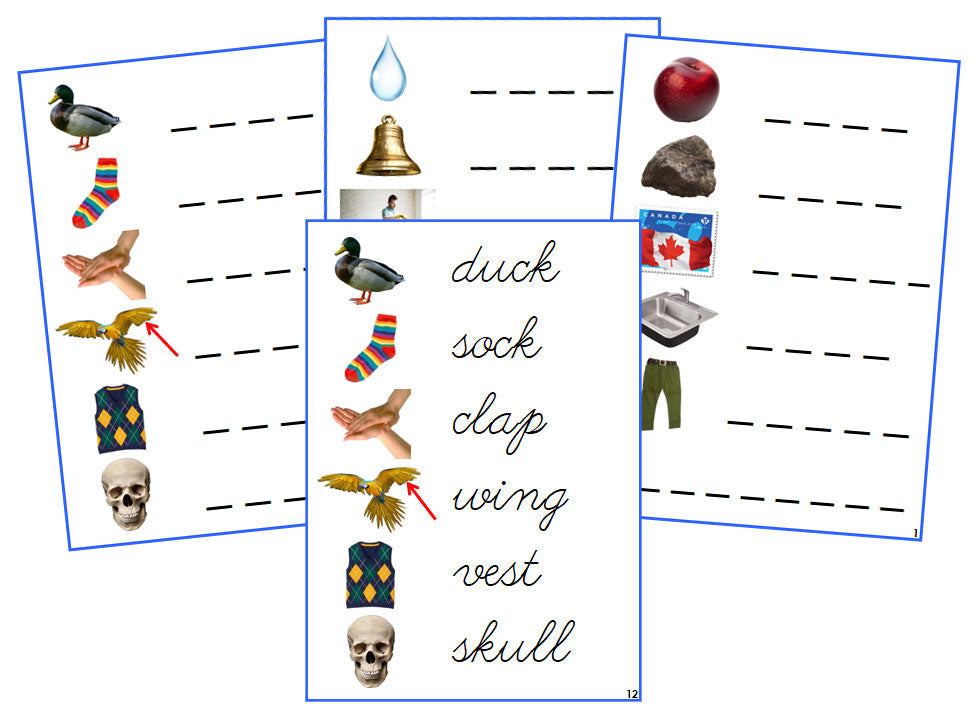 Montessori Blue Spelling Cards (photos) - CURSIVE - Montessori Print Shop phonics lesson