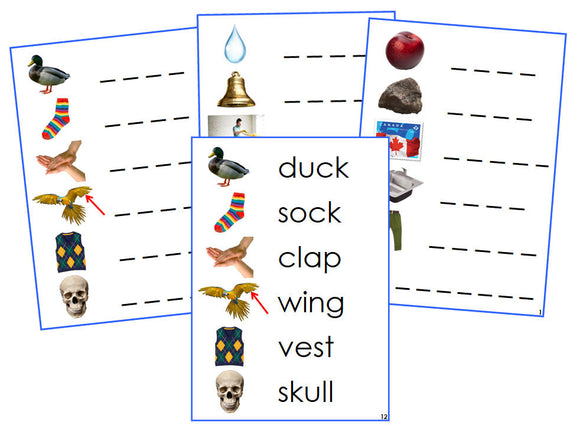 Montessori Blue Spelling Cards (photos) - Montessori Print Shop phonetic language program