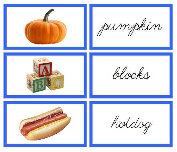Blue Words & Picture Cards (photos) - CURSIVE - Montessori Print Shop Digital Download phonics lesson