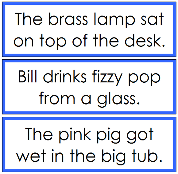 Blue Sentence Cards Set 2 - Montessori language cards