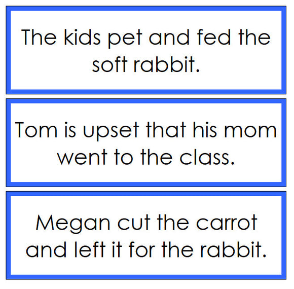 Blue Sentence Cards Set 3 - Montessori Print Shop Digital Download language cards