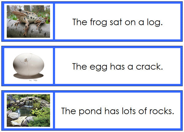 Montessori Blue Language Series Bundle (photos) - Phonetic Sentence Cards (Set 1) - Montessori Print Shop phonics language program