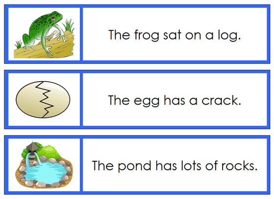 Blue Sentence Cards Set 1 - Montessori Print Shop Digital Download phonetic language program