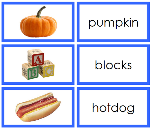 Montessori Blue Language Series Bundle (photos) - Montessori Print Shop Digital Download phonetic language program
