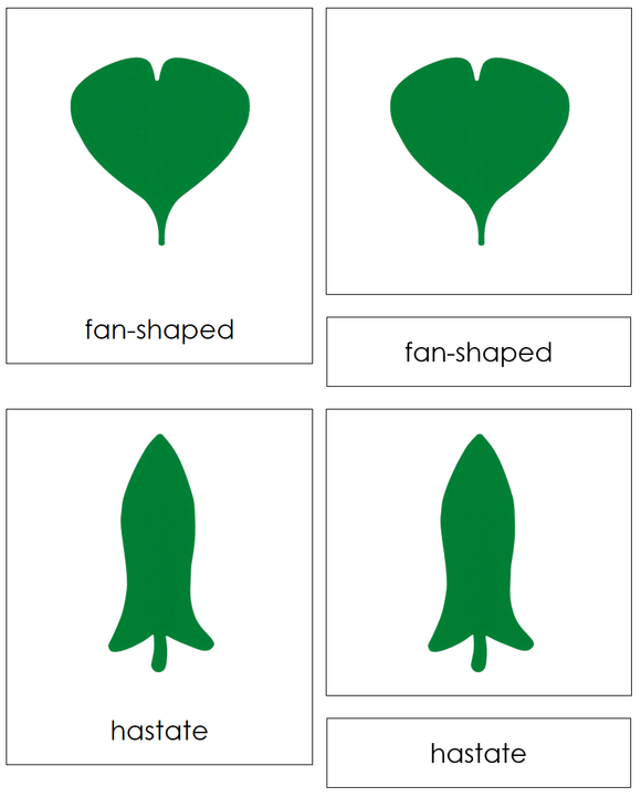 Botany Cabinet Leaf Shape Cards - Montessori Print Shop Digital Download