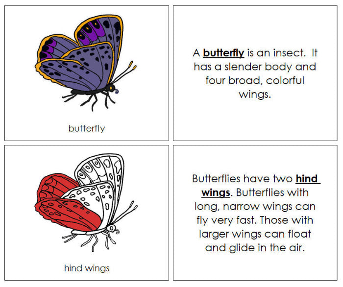 Parts of a Butterfly Nomenclature Book (red) - Montessori Print Shop Digital Download