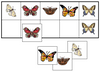 Butterfly Match-Up & Memory Game - Montessori Print Shop