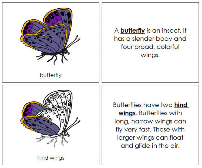 Parts of a Butterfly Nomenclature Book - Montessori Print Shop Digital Download