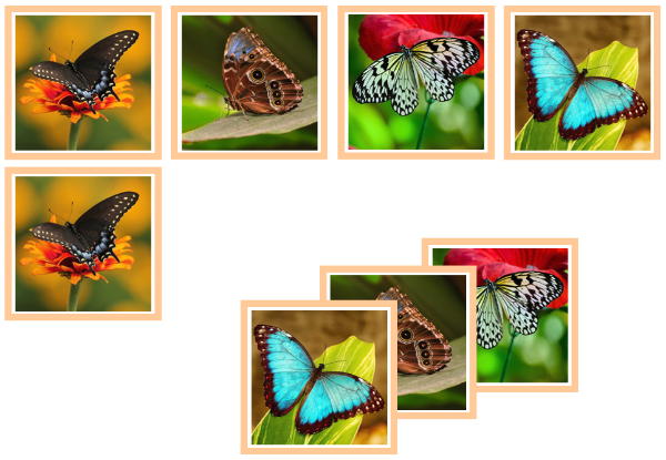 butterfly matching cards - Montessori Print Shop Digital Download