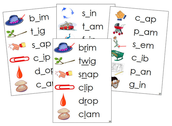 Montessori Step 2: CCVC Missing Consonant Cards - Montessori Print Shop