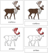 Caribou Nomenclature 3-Part Cards (red) - Montessori Print Shop