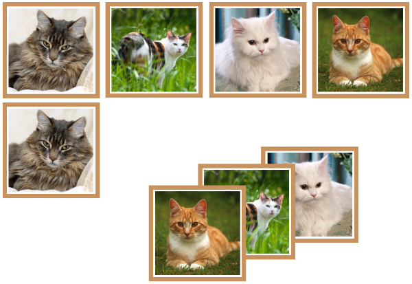 cat matching cards - Montessori Print Shop Digital Download