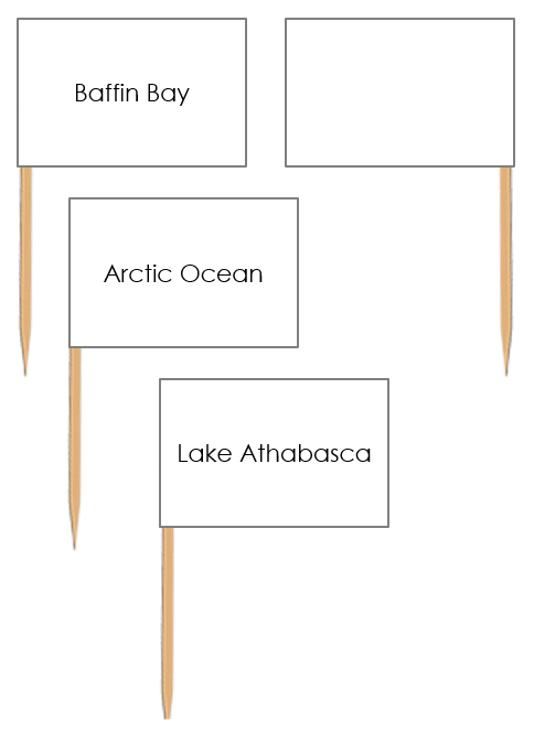 Canadian Bodies of Water Pin Flags - Montessori Print Shop Digital Download geography materials