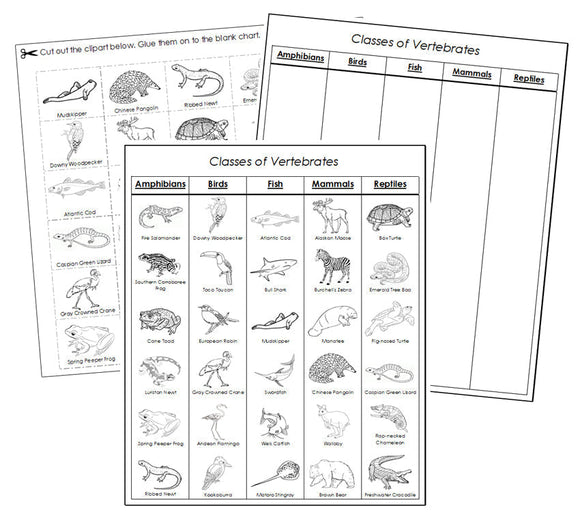 Classes of Vertebrates Sorting Blackline Masters  - Montessori Print Shop