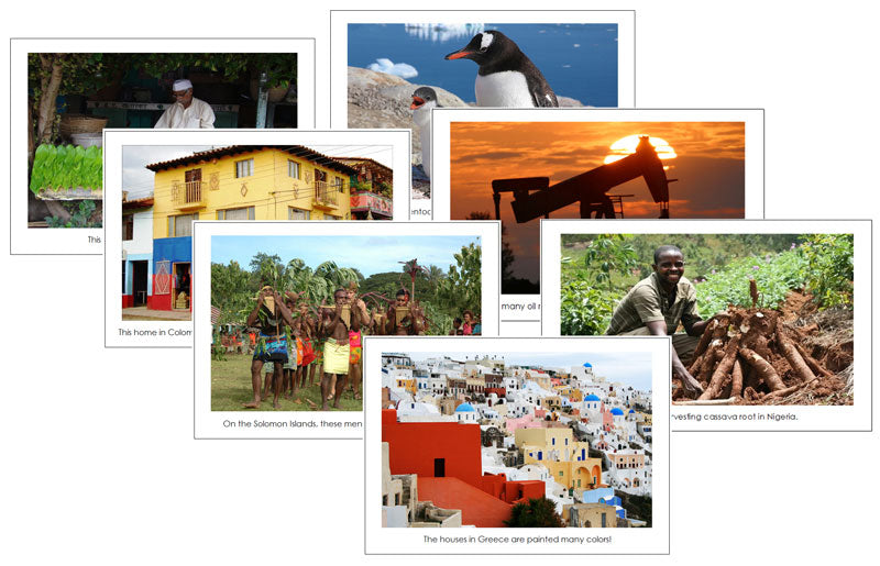 Continent Cards of the World Bundle - Montessori Print Shop Digital Download