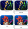 Coral Reef Safari Toob Cards - Montessori Print Shop