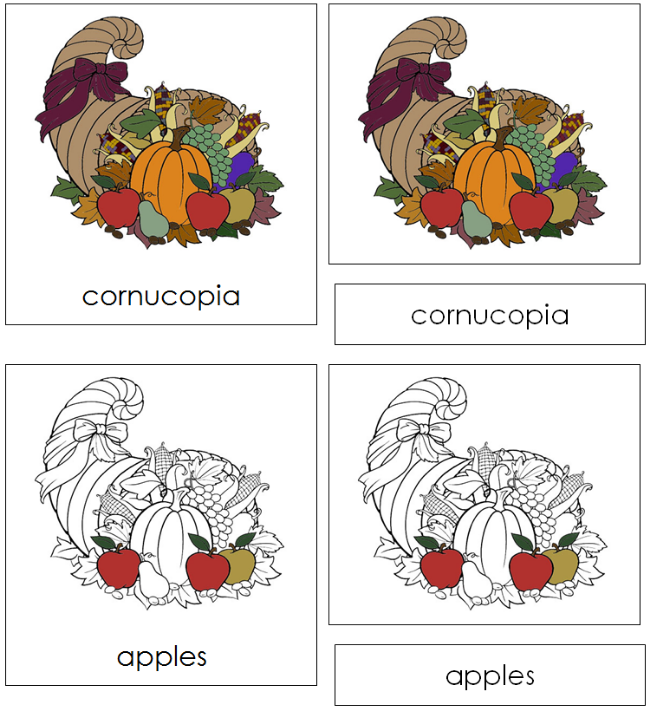 Parts of a Cornucopia 3-Part Nomenclature Cards - Montessori Print Shop Digital Download