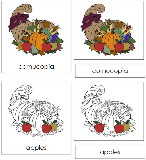 Cornucopia Nomenclature Cards - Montessori Print Shop