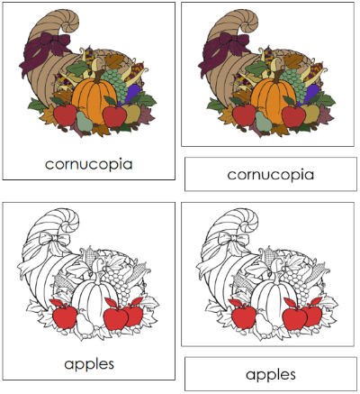 Cornucopia Nomenclature Cards (red) - Montessori Print Shop